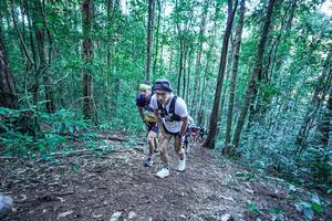 BIB: 
                            <button type="button" onclick="openModal(26639851)" class="btn btn-primary btn-sm float-right btn-popup" data-toggle="modal" data-target=".modal-high-quality">
                        <i class="fas fa-shopping-cart"></i> Add to Cart
                    </button>
                                            <button type="button" onclick="isThisMe(26639851, true)" class="btn btn-success btn-sm float-right btn-popup btn-isme hidden" data-toggle="tooltip" data-placement="bottom" title="นี่คือรูปของคุณใช่ไหม คลิกที่นี่เพื่อเอาเข้าอัลบั้ม">
                        <i class="fas fa-plus"></i> Add to album
                    </button>
                    <button type="button" onclick="isThisMe(26639851, false)" class="btn btn-warning btn-sm float-right btn-popup btn-isnotme hidden">
                        <i class="fas fa-ban"></i> Remove from album
                    </button>