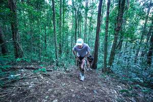 BIB: 
                            <button type="button" onclick="openModal(26639245)" class="btn btn-primary btn-sm float-right btn-popup" data-toggle="modal" data-target=".modal-high-quality">
                        <i class="fas fa-shopping-cart"></i> Add to Cart
                    </button>
                                            <button type="button" onclick="isThisMe(26639245, true)" class="btn btn-success btn-sm float-right btn-popup btn-isme hidden" data-toggle="tooltip" data-placement="bottom" title="นี่คือรูปของคุณใช่ไหม คลิกที่นี่เพื่อเอาเข้าอัลบั้ม">
                        <i class="fas fa-plus"></i> Add to album
                    </button>
                    <button type="button" onclick="isThisMe(26639245, false)" class="btn btn-warning btn-sm float-right btn-popup btn-isnotme hidden">
                        <i class="fas fa-ban"></i> Remove from album
                    </button>