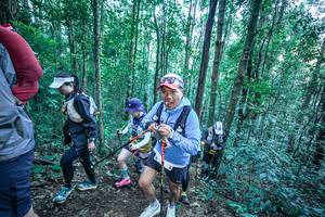 BIB: 
                            <button type="button" onclick="openModal(26661975)" class="btn btn-primary btn-sm float-right btn-popup" data-toggle="modal" data-target=".modal-high-quality">
                        <i class="fas fa-shopping-cart"></i> Add to Cart
                    </button>
                                            <button type="button" onclick="isThisMe(26661975, true)" class="btn btn-success btn-sm float-right btn-popup btn-isme hidden" data-toggle="tooltip" data-placement="bottom" title="นี่คือรูปของคุณใช่ไหม คลิกที่นี่เพื่อเอาเข้าอัลบั้ม">
                        <i class="fas fa-plus"></i> Add to album
                    </button>
                    <button type="button" onclick="isThisMe(26661975, false)" class="btn btn-warning btn-sm float-right btn-popup btn-isnotme hidden">
                        <i class="fas fa-ban"></i> Remove from album
                    </button>