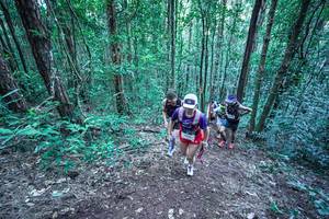 BIB: 
                            <button type="button" onclick="openModal(26639902)" class="btn btn-primary btn-sm float-right btn-popup" data-toggle="modal" data-target=".modal-high-quality">
                        <i class="fas fa-shopping-cart"></i> Add to Cart
                    </button>
                                            <button type="button" onclick="isThisMe(26639902, true)" class="btn btn-success btn-sm float-right btn-popup btn-isme hidden" data-toggle="tooltip" data-placement="bottom" title="นี่คือรูปของคุณใช่ไหม คลิกที่นี่เพื่อเอาเข้าอัลบั้ม">
                        <i class="fas fa-plus"></i> Add to album
                    </button>
                    <button type="button" onclick="isThisMe(26639902, false)" class="btn btn-warning btn-sm float-right btn-popup btn-isnotme hidden">
                        <i class="fas fa-ban"></i> Remove from album
                    </button>