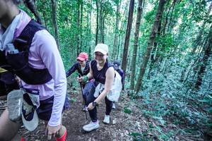 BIB: 
                            <button type="button" onclick="openModal(26660839)" class="btn btn-primary btn-sm float-right btn-popup" data-toggle="modal" data-target=".modal-high-quality">
                        <i class="fas fa-shopping-cart"></i> Add to Cart
                    </button>
                                            <button type="button" onclick="isThisMe(26660839, true)" class="btn btn-success btn-sm float-right btn-popup btn-isme hidden" data-toggle="tooltip" data-placement="bottom" title="นี่คือรูปของคุณใช่ไหม คลิกที่นี่เพื่อเอาเข้าอัลบั้ม">
                        <i class="fas fa-plus"></i> Add to album
                    </button>
                    <button type="button" onclick="isThisMe(26660839, false)" class="btn btn-warning btn-sm float-right btn-popup btn-isnotme hidden">
                        <i class="fas fa-ban"></i> Remove from album
                    </button>