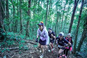 BIB: 
                            <button type="button" onclick="openModal(26651281)" class="btn btn-primary btn-sm float-right btn-popup" data-toggle="modal" data-target=".modal-high-quality">
                        <i class="fas fa-shopping-cart"></i> Add to Cart
                    </button>
                                            <button type="button" onclick="isThisMe(26651281, true)" class="btn btn-success btn-sm float-right btn-popup btn-isme hidden" data-toggle="tooltip" data-placement="bottom" title="นี่คือรูปของคุณใช่ไหม คลิกที่นี่เพื่อเอาเข้าอัลบั้ม">
                        <i class="fas fa-plus"></i> Add to album
                    </button>
                    <button type="button" onclick="isThisMe(26651281, false)" class="btn btn-warning btn-sm float-right btn-popup btn-isnotme hidden">
                        <i class="fas fa-ban"></i> Remove from album
                    </button>