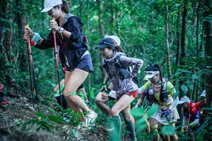 BIB: 
                            <button type="button" onclick="openModal(26641405)" class="btn btn-primary btn-sm float-right btn-popup" data-toggle="modal" data-target=".modal-high-quality">
                        <i class="fas fa-shopping-cart"></i> Add to Cart
                    </button>
                                            <button type="button" onclick="isThisMe(26641405, true)" class="btn btn-success btn-sm float-right btn-popup btn-isme hidden" data-toggle="tooltip" data-placement="bottom" title="นี่คือรูปของคุณใช่ไหม คลิกที่นี่เพื่อเอาเข้าอัลบั้ม">
                        <i class="fas fa-plus"></i> Add to album
                    </button>
                    <button type="button" onclick="isThisMe(26641405, false)" class="btn btn-warning btn-sm float-right btn-popup btn-isnotme hidden">
                        <i class="fas fa-ban"></i> Remove from album
                    </button>