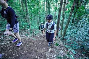 BIB: 
                            <button type="button" onclick="openModal(26661393)" class="btn btn-primary btn-sm float-right btn-popup" data-toggle="modal" data-target=".modal-high-quality">
                        <i class="fas fa-shopping-cart"></i> Add to Cart
                    </button>
                                            <button type="button" onclick="isThisMe(26661393, true)" class="btn btn-success btn-sm float-right btn-popup btn-isme hidden" data-toggle="tooltip" data-placement="bottom" title="นี่คือรูปของคุณใช่ไหม คลิกที่นี่เพื่อเอาเข้าอัลบั้ม">
                        <i class="fas fa-plus"></i> Add to album
                    </button>
                    <button type="button" onclick="isThisMe(26661393, false)" class="btn btn-warning btn-sm float-right btn-popup btn-isnotme hidden">
                        <i class="fas fa-ban"></i> Remove from album
                    </button>