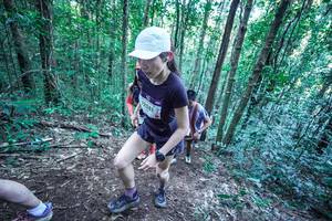 BIB: 
                            <button type="button" onclick="openModal(26654957)" class="btn btn-primary btn-sm float-right btn-popup" data-toggle="modal" data-target=".modal-high-quality">
                        <i class="fas fa-shopping-cart"></i> Add to Cart
                    </button>
                                            <button type="button" onclick="isThisMe(26654957, true)" class="btn btn-success btn-sm float-right btn-popup btn-isme hidden" data-toggle="tooltip" data-placement="bottom" title="นี่คือรูปของคุณใช่ไหม คลิกที่นี่เพื่อเอาเข้าอัลบั้ม">
                        <i class="fas fa-plus"></i> Add to album
                    </button>
                    <button type="button" onclick="isThisMe(26654957, false)" class="btn btn-warning btn-sm float-right btn-popup btn-isnotme hidden">
                        <i class="fas fa-ban"></i> Remove from album
                    </button>