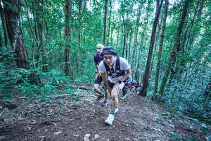 BIB: 
                            <button type="button" onclick="openModal(26639866)" class="btn btn-primary btn-sm float-right btn-popup" data-toggle="modal" data-target=".modal-high-quality">
                        <i class="fas fa-shopping-cart"></i> Add to Cart
                    </button>
                                            <button type="button" onclick="isThisMe(26639866, true)" class="btn btn-success btn-sm float-right btn-popup btn-isme hidden" data-toggle="tooltip" data-placement="bottom" title="นี่คือรูปของคุณใช่ไหม คลิกที่นี่เพื่อเอาเข้าอัลบั้ม">
                        <i class="fas fa-plus"></i> Add to album
                    </button>
                    <button type="button" onclick="isThisMe(26639866, false)" class="btn btn-warning btn-sm float-right btn-popup btn-isnotme hidden">
                        <i class="fas fa-ban"></i> Remove from album
                    </button>