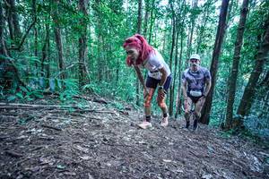 BIB: 
                            <button type="button" onclick="openModal(26639496)" class="btn btn-primary btn-sm float-right btn-popup" data-toggle="modal" data-target=".modal-high-quality">
                        <i class="fas fa-shopping-cart"></i> Add to Cart
                    </button>
                                            <button type="button" onclick="isThisMe(26639496, true)" class="btn btn-success btn-sm float-right btn-popup btn-isme hidden" data-toggle="tooltip" data-placement="bottom" title="นี่คือรูปของคุณใช่ไหม คลิกที่นี่เพื่อเอาเข้าอัลบั้ม">
                        <i class="fas fa-plus"></i> Add to album
                    </button>
                    <button type="button" onclick="isThisMe(26639496, false)" class="btn btn-warning btn-sm float-right btn-popup btn-isnotme hidden">
                        <i class="fas fa-ban"></i> Remove from album
                    </button>