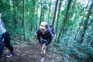 BIB: 
                            <button type="button" onclick="openModal(26657047)" class="btn btn-primary btn-sm float-right btn-popup" data-toggle="modal" data-target=".modal-high-quality">
                        <i class="fas fa-shopping-cart"></i> Add to Cart
                    </button>
                                            <button type="button" onclick="isThisMe(26657047, true)" class="btn btn-success btn-sm float-right btn-popup btn-isme hidden" data-toggle="tooltip" data-placement="bottom" title="นี่คือรูปของคุณใช่ไหม คลิกที่นี่เพื่อเอาเข้าอัลบั้ม">
                        <i class="fas fa-plus"></i> Add to album
                    </button>
                    <button type="button" onclick="isThisMe(26657047, false)" class="btn btn-warning btn-sm float-right btn-popup btn-isnotme hidden">
                        <i class="fas fa-ban"></i> Remove from album
                    </button>