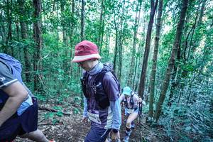 BIB: 
                            <button type="button" onclick="openModal(26657436)" class="btn btn-primary btn-sm float-right btn-popup" data-toggle="modal" data-target=".modal-high-quality">
                        <i class="fas fa-shopping-cart"></i> Add to Cart
                    </button>
                                            <button type="button" onclick="isThisMe(26657436, true)" class="btn btn-success btn-sm float-right btn-popup btn-isme hidden" data-toggle="tooltip" data-placement="bottom" title="นี่คือรูปของคุณใช่ไหม คลิกที่นี่เพื่อเอาเข้าอัลบั้ม">
                        <i class="fas fa-plus"></i> Add to album
                    </button>
                    <button type="button" onclick="isThisMe(26657436, false)" class="btn btn-warning btn-sm float-right btn-popup btn-isnotme hidden">
                        <i class="fas fa-ban"></i> Remove from album
                    </button>