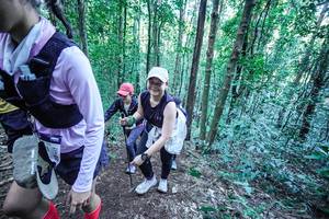 BIB: 
                            <button type="button" onclick="openModal(26660837)" class="btn btn-primary btn-sm float-right btn-popup" data-toggle="modal" data-target=".modal-high-quality">
                        <i class="fas fa-shopping-cart"></i> Add to Cart
                    </button>
                                            <button type="button" onclick="isThisMe(26660837, true)" class="btn btn-success btn-sm float-right btn-popup btn-isme hidden" data-toggle="tooltip" data-placement="bottom" title="นี่คือรูปของคุณใช่ไหม คลิกที่นี่เพื่อเอาเข้าอัลบั้ม">
                        <i class="fas fa-plus"></i> Add to album
                    </button>
                    <button type="button" onclick="isThisMe(26660837, false)" class="btn btn-warning btn-sm float-right btn-popup btn-isnotme hidden">
                        <i class="fas fa-ban"></i> Remove from album
                    </button>