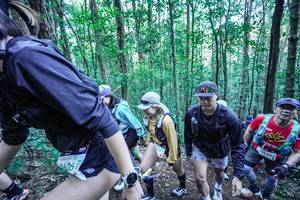 BIB: 
                            <button type="button" onclick="openModal(26656503)" class="btn btn-primary btn-sm float-right btn-popup" data-toggle="modal" data-target=".modal-high-quality">
                        <i class="fas fa-shopping-cart"></i> Add to Cart
                    </button>
                                            <button type="button" onclick="isThisMe(26656503, true)" class="btn btn-success btn-sm float-right btn-popup btn-isme hidden" data-toggle="tooltip" data-placement="bottom" title="นี่คือรูปของคุณใช่ไหม คลิกที่นี่เพื่อเอาเข้าอัลบั้ม">
                        <i class="fas fa-plus"></i> Add to album
                    </button>
                    <button type="button" onclick="isThisMe(26656503, false)" class="btn btn-warning btn-sm float-right btn-popup btn-isnotme hidden">
                        <i class="fas fa-ban"></i> Remove from album
                    </button>