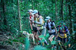 BIB: 
                            <button type="button" onclick="openModal(26640950)" class="btn btn-primary btn-sm float-right btn-popup" data-toggle="modal" data-target=".modal-high-quality">
                        <i class="fas fa-shopping-cart"></i> Add to Cart
                    </button>
                                            <button type="button" onclick="isThisMe(26640950, true)" class="btn btn-success btn-sm float-right btn-popup btn-isme hidden" data-toggle="tooltip" data-placement="bottom" title="นี่คือรูปของคุณใช่ไหม คลิกที่นี่เพื่อเอาเข้าอัลบั้ม">
                        <i class="fas fa-plus"></i> Add to album
                    </button>
                    <button type="button" onclick="isThisMe(26640950, false)" class="btn btn-warning btn-sm float-right btn-popup btn-isnotme hidden">
                        <i class="fas fa-ban"></i> Remove from album
                    </button>