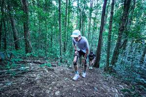 BIB: 
                            <button type="button" onclick="openModal(26639258)" class="btn btn-primary btn-sm float-right btn-popup" data-toggle="modal" data-target=".modal-high-quality">
                        <i class="fas fa-shopping-cart"></i> Add to Cart
                    </button>
                                            <button type="button" onclick="isThisMe(26639258, true)" class="btn btn-success btn-sm float-right btn-popup btn-isme hidden" data-toggle="tooltip" data-placement="bottom" title="นี่คือรูปของคุณใช่ไหม คลิกที่นี่เพื่อเอาเข้าอัลบั้ม">
                        <i class="fas fa-plus"></i> Add to album
                    </button>
                    <button type="button" onclick="isThisMe(26639258, false)" class="btn btn-warning btn-sm float-right btn-popup btn-isnotme hidden">
                        <i class="fas fa-ban"></i> Remove from album
                    </button>