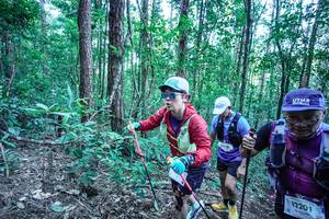 BIB: 
                            <button type="button" onclick="openModal(26645389)" class="btn btn-primary btn-sm float-right btn-popup" data-toggle="modal" data-target=".modal-high-quality">
                        <i class="fas fa-shopping-cart"></i> Add to Cart
                    </button>
                                            <button type="button" onclick="isThisMe(26645389, true)" class="btn btn-success btn-sm float-right btn-popup btn-isme hidden" data-toggle="tooltip" data-placement="bottom" title="นี่คือรูปของคุณใช่ไหม คลิกที่นี่เพื่อเอาเข้าอัลบั้ม">
                        <i class="fas fa-plus"></i> Add to album
                    </button>
                    <button type="button" onclick="isThisMe(26645389, false)" class="btn btn-warning btn-sm float-right btn-popup btn-isnotme hidden">
                        <i class="fas fa-ban"></i> Remove from album
                    </button>