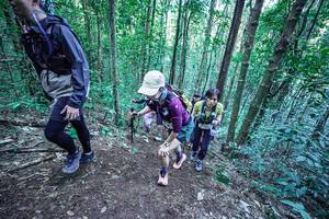 BIB: 
                            <button type="button" onclick="openModal(26661248)" class="btn btn-primary btn-sm float-right btn-popup" data-toggle="modal" data-target=".modal-high-quality">
                        <i class="fas fa-shopping-cart"></i> Add to Cart
                    </button>
                                            <button type="button" onclick="isThisMe(26661248, true)" class="btn btn-success btn-sm float-right btn-popup btn-isme hidden" data-toggle="tooltip" data-placement="bottom" title="นี่คือรูปของคุณใช่ไหม คลิกที่นี่เพื่อเอาเข้าอัลบั้ม">
                        <i class="fas fa-plus"></i> Add to album
                    </button>
                    <button type="button" onclick="isThisMe(26661248, false)" class="btn btn-warning btn-sm float-right btn-popup btn-isnotme hidden">
                        <i class="fas fa-ban"></i> Remove from album
                    </button>