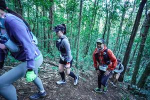 BIB: 
                            <button type="button" onclick="openModal(26653388)" class="btn btn-primary btn-sm float-right btn-popup" data-toggle="modal" data-target=".modal-high-quality">
                        <i class="fas fa-shopping-cart"></i> Add to Cart
                    </button>
                                            <button type="button" onclick="isThisMe(26653388, true)" class="btn btn-success btn-sm float-right btn-popup btn-isme hidden" data-toggle="tooltip" data-placement="bottom" title="นี่คือรูปของคุณใช่ไหม คลิกที่นี่เพื่อเอาเข้าอัลบั้ม">
                        <i class="fas fa-plus"></i> Add to album
                    </button>
                    <button type="button" onclick="isThisMe(26653388, false)" class="btn btn-warning btn-sm float-right btn-popup btn-isnotme hidden">
                        <i class="fas fa-ban"></i> Remove from album
                    </button>