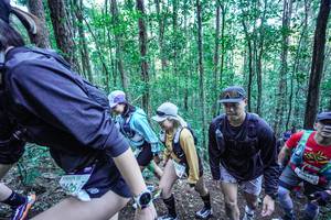 BIB: 
                            <button type="button" onclick="openModal(26656508)" class="btn btn-primary btn-sm float-right btn-popup" data-toggle="modal" data-target=".modal-high-quality">
                        <i class="fas fa-shopping-cart"></i> Add to Cart
                    </button>
                                            <button type="button" onclick="isThisMe(26656508, true)" class="btn btn-success btn-sm float-right btn-popup btn-isme hidden" data-toggle="tooltip" data-placement="bottom" title="นี่คือรูปของคุณใช่ไหม คลิกที่นี่เพื่อเอาเข้าอัลบั้ม">
                        <i class="fas fa-plus"></i> Add to album
                    </button>
                    <button type="button" onclick="isThisMe(26656508, false)" class="btn btn-warning btn-sm float-right btn-popup btn-isnotme hidden">
                        <i class="fas fa-ban"></i> Remove from album
                    </button>