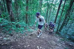 BIB: 
                            <button type="button" onclick="openModal(26640119)" class="btn btn-primary btn-sm float-right btn-popup" data-toggle="modal" data-target=".modal-high-quality">
                        <i class="fas fa-shopping-cart"></i> Add to Cart
                    </button>
                                            <button type="button" onclick="isThisMe(26640119, true)" class="btn btn-success btn-sm float-right btn-popup btn-isme hidden" data-toggle="tooltip" data-placement="bottom" title="นี่คือรูปของคุณใช่ไหม คลิกที่นี่เพื่อเอาเข้าอัลบั้ม">
                        <i class="fas fa-plus"></i> Add to album
                    </button>
                    <button type="button" onclick="isThisMe(26640119, false)" class="btn btn-warning btn-sm float-right btn-popup btn-isnotme hidden">
                        <i class="fas fa-ban"></i> Remove from album
                    </button>