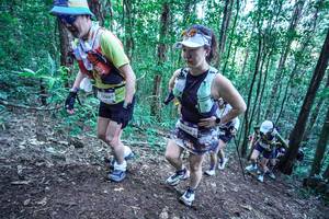 BIB: 
                            <button type="button" onclick="openModal(26644950)" class="btn btn-primary btn-sm float-right btn-popup" data-toggle="modal" data-target=".modal-high-quality">
                        <i class="fas fa-shopping-cart"></i> Add to Cart
                    </button>
                                            <button type="button" onclick="isThisMe(26644950, true)" class="btn btn-success btn-sm float-right btn-popup btn-isme hidden" data-toggle="tooltip" data-placement="bottom" title="นี่คือรูปของคุณใช่ไหม คลิกที่นี่เพื่อเอาเข้าอัลบั้ม">
                        <i class="fas fa-plus"></i> Add to album
                    </button>
                    <button type="button" onclick="isThisMe(26644950, false)" class="btn btn-warning btn-sm float-right btn-popup btn-isnotme hidden">
                        <i class="fas fa-ban"></i> Remove from album
                    </button>