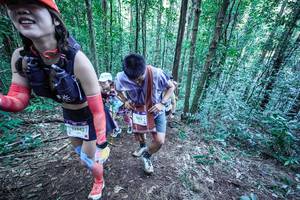 BIB: 
                            <button type="button" onclick="openModal(26655009)" class="btn btn-primary btn-sm float-right btn-popup" data-toggle="modal" data-target=".modal-high-quality">
                        <i class="fas fa-shopping-cart"></i> Add to Cart
                    </button>
                                            <button type="button" onclick="isThisMe(26655009, true)" class="btn btn-success btn-sm float-right btn-popup btn-isme hidden" data-toggle="tooltip" data-placement="bottom" title="นี่คือรูปของคุณใช่ไหม คลิกที่นี่เพื่อเอาเข้าอัลบั้ม">
                        <i class="fas fa-plus"></i> Add to album
                    </button>
                    <button type="button" onclick="isThisMe(26655009, false)" class="btn btn-warning btn-sm float-right btn-popup btn-isnotme hidden">
                        <i class="fas fa-ban"></i> Remove from album
                    </button>