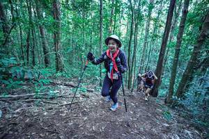 BIB: 
                            <button type="button" onclick="openModal(26651616)" class="btn btn-primary btn-sm float-right btn-popup" data-toggle="modal" data-target=".modal-high-quality">
                        <i class="fas fa-shopping-cart"></i> Add to Cart
                    </button>
                                            <button type="button" onclick="isThisMe(26651616, true)" class="btn btn-success btn-sm float-right btn-popup btn-isme hidden" data-toggle="tooltip" data-placement="bottom" title="นี่คือรูปของคุณใช่ไหม คลิกที่นี่เพื่อเอาเข้าอัลบั้ม">
                        <i class="fas fa-plus"></i> Add to album
                    </button>
                    <button type="button" onclick="isThisMe(26651616, false)" class="btn btn-warning btn-sm float-right btn-popup btn-isnotme hidden">
                        <i class="fas fa-ban"></i> Remove from album
                    </button>