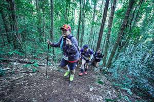 BIB: 
                            <button type="button" onclick="openModal(26658056)" class="btn btn-primary btn-sm float-right btn-popup" data-toggle="modal" data-target=".modal-high-quality">
                        <i class="fas fa-shopping-cart"></i> Add to Cart
                    </button>
                                            <button type="button" onclick="isThisMe(26658056, true)" class="btn btn-success btn-sm float-right btn-popup btn-isme hidden" data-toggle="tooltip" data-placement="bottom" title="นี่คือรูปของคุณใช่ไหม คลิกที่นี่เพื่อเอาเข้าอัลบั้ม">
                        <i class="fas fa-plus"></i> Add to album
                    </button>
                    <button type="button" onclick="isThisMe(26658056, false)" class="btn btn-warning btn-sm float-right btn-popup btn-isnotme hidden">
                        <i class="fas fa-ban"></i> Remove from album
                    </button>