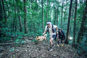 BIB: 
                            <button type="button" onclick="openModal(26651305)" class="btn btn-primary btn-sm float-right btn-popup" data-toggle="modal" data-target=".modal-high-quality">
                        <i class="fas fa-shopping-cart"></i> Add to Cart
                    </button>
                                            <button type="button" onclick="isThisMe(26651305, true)" class="btn btn-success btn-sm float-right btn-popup btn-isme hidden" data-toggle="tooltip" data-placement="bottom" title="นี่คือรูปของคุณใช่ไหม คลิกที่นี่เพื่อเอาเข้าอัลบั้ม">
                        <i class="fas fa-plus"></i> Add to album
                    </button>
                    <button type="button" onclick="isThisMe(26651305, false)" class="btn btn-warning btn-sm float-right btn-popup btn-isnotme hidden">
                        <i class="fas fa-ban"></i> Remove from album
                    </button>