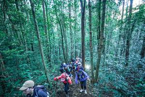 BIB: 
                            <button type="button" onclick="openModal(26663439)" class="btn btn-primary btn-sm float-right btn-popup" data-toggle="modal" data-target=".modal-high-quality">
                        <i class="fas fa-shopping-cart"></i> Add to Cart
                    </button>
                                            <button type="button" onclick="isThisMe(26663439, true)" class="btn btn-success btn-sm float-right btn-popup btn-isme hidden" data-toggle="tooltip" data-placement="bottom" title="นี่คือรูปของคุณใช่ไหม คลิกที่นี่เพื่อเอาเข้าอัลบั้ม">
                        <i class="fas fa-plus"></i> Add to album
                    </button>
                    <button type="button" onclick="isThisMe(26663439, false)" class="btn btn-warning btn-sm float-right btn-popup btn-isnotme hidden">
                        <i class="fas fa-ban"></i> Remove from album
                    </button>