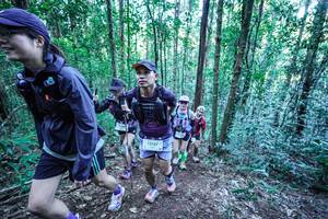 BIB: 
                            <button type="button" onclick="openModal(26645859)" class="btn btn-primary btn-sm float-right btn-popup" data-toggle="modal" data-target=".modal-high-quality">
                        <i class="fas fa-shopping-cart"></i> Add to Cart
                    </button>
                                            <button type="button" onclick="isThisMe(26645859, true)" class="btn btn-success btn-sm float-right btn-popup btn-isme hidden" data-toggle="tooltip" data-placement="bottom" title="นี่คือรูปของคุณใช่ไหม คลิกที่นี่เพื่อเอาเข้าอัลบั้ม">
                        <i class="fas fa-plus"></i> Add to album
                    </button>
                    <button type="button" onclick="isThisMe(26645859, false)" class="btn btn-warning btn-sm float-right btn-popup btn-isnotme hidden">
                        <i class="fas fa-ban"></i> Remove from album
                    </button>