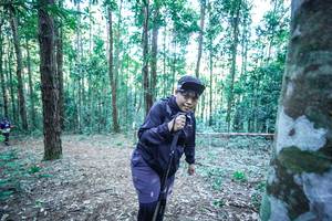 BIB: 
                            <button type="button" onclick="openModal(26662405)" class="btn btn-primary btn-sm float-right btn-popup" data-toggle="modal" data-target=".modal-high-quality">
                        <i class="fas fa-shopping-cart"></i> Add to Cart
                    </button>
                                            <button type="button" onclick="isThisMe(26662405, true)" class="btn btn-success btn-sm float-right btn-popup btn-isme hidden" data-toggle="tooltip" data-placement="bottom" title="นี่คือรูปของคุณใช่ไหม คลิกที่นี่เพื่อเอาเข้าอัลบั้ม">
                        <i class="fas fa-plus"></i> Add to album
                    </button>
                    <button type="button" onclick="isThisMe(26662405, false)" class="btn btn-warning btn-sm float-right btn-popup btn-isnotme hidden">
                        <i class="fas fa-ban"></i> Remove from album
                    </button>