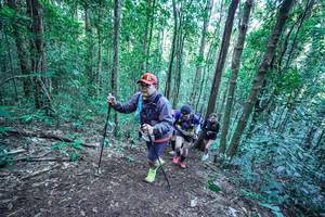 BIB: 
                            <button type="button" onclick="openModal(26658044)" class="btn btn-primary btn-sm float-right btn-popup" data-toggle="modal" data-target=".modal-high-quality">
                        <i class="fas fa-shopping-cart"></i> Add to Cart
                    </button>
                                            <button type="button" onclick="isThisMe(26658044, true)" class="btn btn-success btn-sm float-right btn-popup btn-isme hidden" data-toggle="tooltip" data-placement="bottom" title="นี่คือรูปของคุณใช่ไหม คลิกที่นี่เพื่อเอาเข้าอัลบั้ม">
                        <i class="fas fa-plus"></i> Add to album
                    </button>
                    <button type="button" onclick="isThisMe(26658044, false)" class="btn btn-warning btn-sm float-right btn-popup btn-isnotme hidden">
                        <i class="fas fa-ban"></i> Remove from album
                    </button>