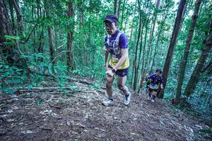 BIB: 
                            <button type="button" onclick="openModal(26639773)" class="btn btn-primary btn-sm float-right btn-popup" data-toggle="modal" data-target=".modal-high-quality">
                        <i class="fas fa-shopping-cart"></i> Add to Cart
                    </button>
                                            <button type="button" onclick="isThisMe(26639773, true)" class="btn btn-success btn-sm float-right btn-popup btn-isme hidden" data-toggle="tooltip" data-placement="bottom" title="นี่คือรูปของคุณใช่ไหม คลิกที่นี่เพื่อเอาเข้าอัลบั้ม">
                        <i class="fas fa-plus"></i> Add to album
                    </button>
                    <button type="button" onclick="isThisMe(26639773, false)" class="btn btn-warning btn-sm float-right btn-popup btn-isnotme hidden">
                        <i class="fas fa-ban"></i> Remove from album
                    </button>