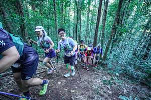 BIB: 
                            <button type="button" onclick="openModal(26646139)" class="btn btn-primary btn-sm float-right btn-popup" data-toggle="modal" data-target=".modal-high-quality">
                        <i class="fas fa-shopping-cart"></i> Add to Cart
                    </button>
                                            <button type="button" onclick="isThisMe(26646139, true)" class="btn btn-success btn-sm float-right btn-popup btn-isme hidden" data-toggle="tooltip" data-placement="bottom" title="นี่คือรูปของคุณใช่ไหม คลิกที่นี่เพื่อเอาเข้าอัลบั้ม">
                        <i class="fas fa-plus"></i> Add to album
                    </button>
                    <button type="button" onclick="isThisMe(26646139, false)" class="btn btn-warning btn-sm float-right btn-popup btn-isnotme hidden">
                        <i class="fas fa-ban"></i> Remove from album
                    </button>