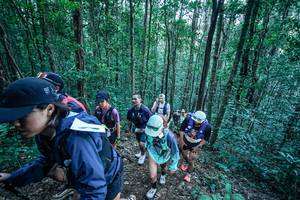 BIB: 
                            <button type="button" onclick="openModal(26645109)" class="btn btn-primary btn-sm float-right btn-popup" data-toggle="modal" data-target=".modal-high-quality">
                        <i class="fas fa-shopping-cart"></i> Add to Cart
                    </button>
                                            <button type="button" onclick="isThisMe(26645109, true)" class="btn btn-success btn-sm float-right btn-popup btn-isme hidden" data-toggle="tooltip" data-placement="bottom" title="นี่คือรูปของคุณใช่ไหม คลิกที่นี่เพื่อเอาเข้าอัลบั้ม">
                        <i class="fas fa-plus"></i> Add to album
                    </button>
                    <button type="button" onclick="isThisMe(26645109, false)" class="btn btn-warning btn-sm float-right btn-popup btn-isnotme hidden">
                        <i class="fas fa-ban"></i> Remove from album
                    </button>