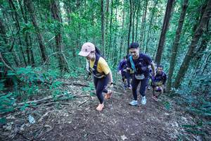 BIB: 
                            <button type="button" onclick="openModal(26655188)" class="btn btn-primary btn-sm float-right btn-popup" data-toggle="modal" data-target=".modal-high-quality">
                        <i class="fas fa-shopping-cart"></i> Add to Cart
                    </button>
                                            <button type="button" onclick="isThisMe(26655188, true)" class="btn btn-success btn-sm float-right btn-popup btn-isme hidden" data-toggle="tooltip" data-placement="bottom" title="นี่คือรูปของคุณใช่ไหม คลิกที่นี่เพื่อเอาเข้าอัลบั้ม">
                        <i class="fas fa-plus"></i> Add to album
                    </button>
                    <button type="button" onclick="isThisMe(26655188, false)" class="btn btn-warning btn-sm float-right btn-popup btn-isnotme hidden">
                        <i class="fas fa-ban"></i> Remove from album
                    </button>