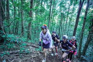 BIB: 
                            <button type="button" onclick="openModal(26651278)" class="btn btn-primary btn-sm float-right btn-popup" data-toggle="modal" data-target=".modal-high-quality">
                        <i class="fas fa-shopping-cart"></i> Add to Cart
                    </button>
                                            <button type="button" onclick="isThisMe(26651278, true)" class="btn btn-success btn-sm float-right btn-popup btn-isme hidden" data-toggle="tooltip" data-placement="bottom" title="นี่คือรูปของคุณใช่ไหม คลิกที่นี่เพื่อเอาเข้าอัลบั้ม">
                        <i class="fas fa-plus"></i> Add to album
                    </button>
                    <button type="button" onclick="isThisMe(26651278, false)" class="btn btn-warning btn-sm float-right btn-popup btn-isnotme hidden">
                        <i class="fas fa-ban"></i> Remove from album
                    </button>