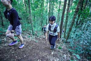 BIB: 
                            <button type="button" onclick="openModal(26661407)" class="btn btn-primary btn-sm float-right btn-popup" data-toggle="modal" data-target=".modal-high-quality">
                        <i class="fas fa-shopping-cart"></i> Add to Cart
                    </button>
                                            <button type="button" onclick="isThisMe(26661407, true)" class="btn btn-success btn-sm float-right btn-popup btn-isme hidden" data-toggle="tooltip" data-placement="bottom" title="นี่คือรูปของคุณใช่ไหม คลิกที่นี่เพื่อเอาเข้าอัลบั้ม">
                        <i class="fas fa-plus"></i> Add to album
                    </button>
                    <button type="button" onclick="isThisMe(26661407, false)" class="btn btn-warning btn-sm float-right btn-popup btn-isnotme hidden">
                        <i class="fas fa-ban"></i> Remove from album
                    </button>