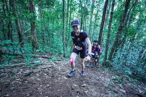 BIB: 
                            <button type="button" onclick="openModal(26644221)" class="btn btn-primary btn-sm float-right btn-popup" data-toggle="modal" data-target=".modal-high-quality">
                        <i class="fas fa-shopping-cart"></i> Add to Cart
                    </button>
                                            <button type="button" onclick="isThisMe(26644221, true)" class="btn btn-success btn-sm float-right btn-popup btn-isme hidden" data-toggle="tooltip" data-placement="bottom" title="นี่คือรูปของคุณใช่ไหม คลิกที่นี่เพื่อเอาเข้าอัลบั้ม">
                        <i class="fas fa-plus"></i> Add to album
                    </button>
                    <button type="button" onclick="isThisMe(26644221, false)" class="btn btn-warning btn-sm float-right btn-popup btn-isnotme hidden">
                        <i class="fas fa-ban"></i> Remove from album
                    </button>