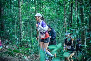 BIB: 
                            <button type="button" onclick="openModal(26644427)" class="btn btn-primary btn-sm float-right btn-popup" data-toggle="modal" data-target=".modal-high-quality">
                        <i class="fas fa-shopping-cart"></i> Add to Cart
                    </button>
                                            <button type="button" onclick="isThisMe(26644427, true)" class="btn btn-success btn-sm float-right btn-popup btn-isme hidden" data-toggle="tooltip" data-placement="bottom" title="นี่คือรูปของคุณใช่ไหม คลิกที่นี่เพื่อเอาเข้าอัลบั้ม">
                        <i class="fas fa-plus"></i> Add to album
                    </button>
                    <button type="button" onclick="isThisMe(26644427, false)" class="btn btn-warning btn-sm float-right btn-popup btn-isnotme hidden">
                        <i class="fas fa-ban"></i> Remove from album
                    </button>