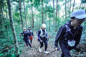 BIB: 
                            <button type="button" onclick="openModal(26662246)" class="btn btn-primary btn-sm float-right btn-popup" data-toggle="modal" data-target=".modal-high-quality">
                        <i class="fas fa-shopping-cart"></i> Add to Cart
                    </button>
                                            <button type="button" onclick="isThisMe(26662246, true)" class="btn btn-success btn-sm float-right btn-popup btn-isme hidden" data-toggle="tooltip" data-placement="bottom" title="นี่คือรูปของคุณใช่ไหม คลิกที่นี่เพื่อเอาเข้าอัลบั้ม">
                        <i class="fas fa-plus"></i> Add to album
                    </button>
                    <button type="button" onclick="isThisMe(26662246, false)" class="btn btn-warning btn-sm float-right btn-popup btn-isnotme hidden">
                        <i class="fas fa-ban"></i> Remove from album
                    </button>