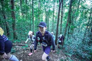 BIB: 
                            <button type="button" onclick="openModal(26656064)" class="btn btn-primary btn-sm float-right btn-popup" data-toggle="modal" data-target=".modal-high-quality">
                        <i class="fas fa-shopping-cart"></i> Add to Cart
                    </button>
                                            <button type="button" onclick="isThisMe(26656064, true)" class="btn btn-success btn-sm float-right btn-popup btn-isme hidden" data-toggle="tooltip" data-placement="bottom" title="นี่คือรูปของคุณใช่ไหม คลิกที่นี่เพื่อเอาเข้าอัลบั้ม">
                        <i class="fas fa-plus"></i> Add to album
                    </button>
                    <button type="button" onclick="isThisMe(26656064, false)" class="btn btn-warning btn-sm float-right btn-popup btn-isnotme hidden">
                        <i class="fas fa-ban"></i> Remove from album
                    </button>