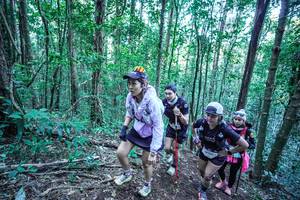 BIB: 
                            <button type="button" onclick="openModal(26651285)" class="btn btn-primary btn-sm float-right btn-popup" data-toggle="modal" data-target=".modal-high-quality">
                        <i class="fas fa-shopping-cart"></i> Add to Cart
                    </button>
                                            <button type="button" onclick="isThisMe(26651285, true)" class="btn btn-success btn-sm float-right btn-popup btn-isme hidden" data-toggle="tooltip" data-placement="bottom" title="นี่คือรูปของคุณใช่ไหม คลิกที่นี่เพื่อเอาเข้าอัลบั้ม">
                        <i class="fas fa-plus"></i> Add to album
                    </button>
                    <button type="button" onclick="isThisMe(26651285, false)" class="btn btn-warning btn-sm float-right btn-popup btn-isnotme hidden">
                        <i class="fas fa-ban"></i> Remove from album
                    </button>