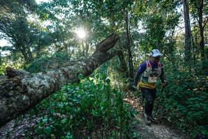 BIB: 
                            <button type="button" onclick="openModal(26729795)" class="btn btn-primary btn-sm float-right btn-popup" data-toggle="modal" data-target=".modal-high-quality">
                        <i class="fas fa-shopping-cart"></i> Add to Cart
                    </button>
                                            <button type="button" onclick="isThisMe(26729795, true)" class="btn btn-success btn-sm float-right btn-popup btn-isme hidden" data-toggle="tooltip" data-placement="bottom" title="นี่คือรูปของคุณใช่ไหม คลิกที่นี่เพื่อเอาเข้าอัลบั้ม">
                        <i class="fas fa-plus"></i> Add to album
                    </button>
                    <button type="button" onclick="isThisMe(26729795, false)" class="btn btn-warning btn-sm float-right btn-popup btn-isnotme hidden">
                        <i class="fas fa-ban"></i> Remove from album
                    </button>