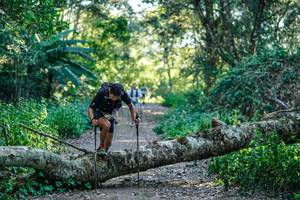 BIB: 
                            <button type="button" onclick="openModal(26711902)" class="btn btn-primary btn-sm float-right btn-popup" data-toggle="modal" data-target=".modal-high-quality">
                        <i class="fas fa-shopping-cart"></i> Add to Cart
                    </button>
                                            <button type="button" onclick="isThisMe(26711902, true)" class="btn btn-success btn-sm float-right btn-popup btn-isme hidden" data-toggle="tooltip" data-placement="bottom" title="นี่คือรูปของคุณใช่ไหม คลิกที่นี่เพื่อเอาเข้าอัลบั้ม">
                        <i class="fas fa-plus"></i> Add to album
                    </button>
                    <button type="button" onclick="isThisMe(26711902, false)" class="btn btn-warning btn-sm float-right btn-popup btn-isnotme hidden">
                        <i class="fas fa-ban"></i> Remove from album
                    </button>