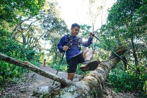 BIB: 
                            <button type="button" onclick="openModal(26729658)" class="btn btn-primary btn-sm float-right btn-popup" data-toggle="modal" data-target=".modal-high-quality">
                        <i class="fas fa-shopping-cart"></i> Add to Cart
                    </button>
                                            <button type="button" onclick="isThisMe(26729658, true)" class="btn btn-success btn-sm float-right btn-popup btn-isme hidden" data-toggle="tooltip" data-placement="bottom" title="นี่คือรูปของคุณใช่ไหม คลิกที่นี่เพื่อเอาเข้าอัลบั้ม">
                        <i class="fas fa-plus"></i> Add to album
                    </button>
                    <button type="button" onclick="isThisMe(26729658, false)" class="btn btn-warning btn-sm float-right btn-popup btn-isnotme hidden">
                        <i class="fas fa-ban"></i> Remove from album
                    </button>