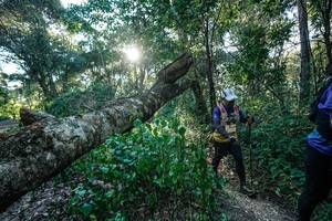 BIB: 
                            <button type="button" onclick="openModal(26729792)" class="btn btn-primary btn-sm float-right btn-popup" data-toggle="modal" data-target=".modal-high-quality">
                        <i class="fas fa-shopping-cart"></i> Add to Cart
                    </button>
                                            <button type="button" onclick="isThisMe(26729792, true)" class="btn btn-success btn-sm float-right btn-popup btn-isme hidden" data-toggle="tooltip" data-placement="bottom" title="นี่คือรูปของคุณใช่ไหม คลิกที่นี่เพื่อเอาเข้าอัลบั้ม">
                        <i class="fas fa-plus"></i> Add to album
                    </button>
                    <button type="button" onclick="isThisMe(26729792, false)" class="btn btn-warning btn-sm float-right btn-popup btn-isnotme hidden">
                        <i class="fas fa-ban"></i> Remove from album
                    </button>