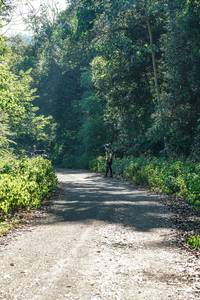 BIB: 
                            <button type="button" onclick="openModal(26711888)" class="btn btn-primary btn-sm float-right btn-popup" data-toggle="modal" data-target=".modal-high-quality">
                        <i class="fas fa-shopping-cart"></i> Add to Cart
                    </button>
                                            <button type="button" onclick="isThisMe(26711888, true)" class="btn btn-success btn-sm float-right btn-popup btn-isme hidden" data-toggle="tooltip" data-placement="bottom" title="นี่คือรูปของคุณใช่ไหม คลิกที่นี่เพื่อเอาเข้าอัลบั้ม">
                        <i class="fas fa-plus"></i> Add to album
                    </button>
                    <button type="button" onclick="isThisMe(26711888, false)" class="btn btn-warning btn-sm float-right btn-popup btn-isnotme hidden">
                        <i class="fas fa-ban"></i> Remove from album
                    </button>