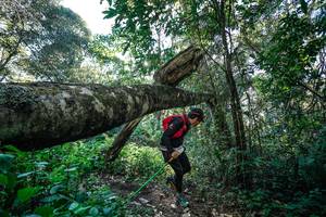 BIB: 
                            <button type="button" onclick="openModal(26729110)" class="btn btn-primary btn-sm float-right btn-popup" data-toggle="modal" data-target=".modal-high-quality">
                        <i class="fas fa-shopping-cart"></i> Add to Cart
                    </button>
                                            <button type="button" onclick="isThisMe(26729110, true)" class="btn btn-success btn-sm float-right btn-popup btn-isme hidden" data-toggle="tooltip" data-placement="bottom" title="นี่คือรูปของคุณใช่ไหม คลิกที่นี่เพื่อเอาเข้าอัลบั้ม">
                        <i class="fas fa-plus"></i> Add to album
                    </button>
                    <button type="button" onclick="isThisMe(26729110, false)" class="btn btn-warning btn-sm float-right btn-popup btn-isnotme hidden">
                        <i class="fas fa-ban"></i> Remove from album
                    </button>