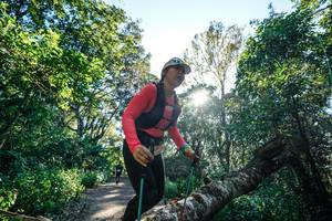 BIB: 
                            <button type="button" onclick="openModal(26729199)" class="btn btn-primary btn-sm float-right btn-popup" data-toggle="modal" data-target=".modal-high-quality">
                        <i class="fas fa-shopping-cart"></i> Add to Cart
                    </button>
                                            <button type="button" onclick="isThisMe(26729199, true)" class="btn btn-success btn-sm float-right btn-popup btn-isme hidden" data-toggle="tooltip" data-placement="bottom" title="นี่คือรูปของคุณใช่ไหม คลิกที่นี่เพื่อเอาเข้าอัลบั้ม">
                        <i class="fas fa-plus"></i> Add to album
                    </button>
                    <button type="button" onclick="isThisMe(26729199, false)" class="btn btn-warning btn-sm float-right btn-popup btn-isnotme hidden">
                        <i class="fas fa-ban"></i> Remove from album
                    </button>