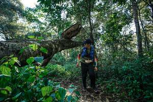 BIB: 
                            <button type="button" onclick="openModal(26729347)" class="btn btn-primary btn-sm float-right btn-popup" data-toggle="modal" data-target=".modal-high-quality">
                        <i class="fas fa-shopping-cart"></i> Add to Cart
                    </button>
                                            <button type="button" onclick="isThisMe(26729347, true)" class="btn btn-success btn-sm float-right btn-popup btn-isme hidden" data-toggle="tooltip" data-placement="bottom" title="นี่คือรูปของคุณใช่ไหม คลิกที่นี่เพื่อเอาเข้าอัลบั้ม">
                        <i class="fas fa-plus"></i> Add to album
                    </button>
                    <button type="button" onclick="isThisMe(26729347, false)" class="btn btn-warning btn-sm float-right btn-popup btn-isnotme hidden">
                        <i class="fas fa-ban"></i> Remove from album
                    </button>